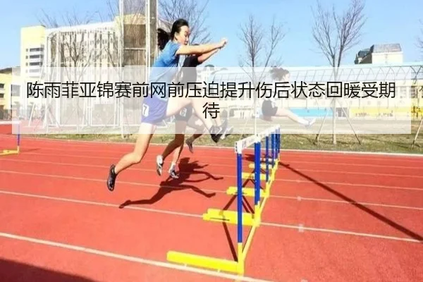 陈雨菲亚锦赛前网前压迫提升伤后状态回暖受期待