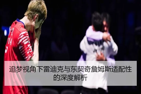 追梦视角下雷迪克与东契奇詹姆斯适配性的深度解析
